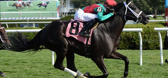 Bet on the Presque Isle Mile