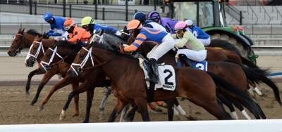 $100,000 Cicada Stakes Draws Field of Six