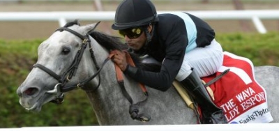 $200,000 Glen Falls Stakes Draws International Field of Nine