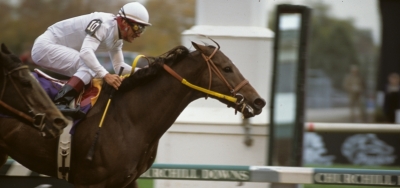 $200,000 Kona Gold Stakes Draws Wide Open Field of Seven