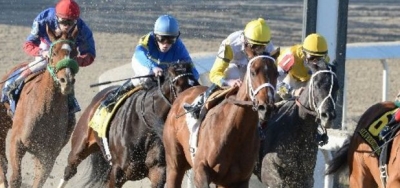 $200,000 Santa Maria Shapes Offers Good Betting Value