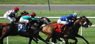 $50,000 Buddy Diliberto Headlines Dec. 19 Card at Fair Grounds