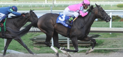 $60,000 Barely Even Handicap Attracts Field of Seven