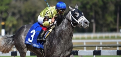 Field Taking Shape for $1.5 Million Belmont Stakes