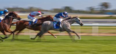 Full Field Set for $100,000 Waya Stakes