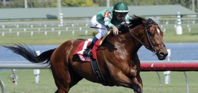 Grade 3 $150,000 Matchmaker Stakes a Wide-Open Betting Event