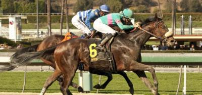 Mile Turf Features at Parx Racing Saturday Afternoon