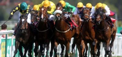 Parx Features Older Fillies And Mares