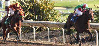 Penn's Zeewat in Mix For Malibu Stakes