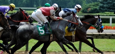 Preakness Trifecta and Superfecta Betting and Picks