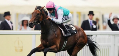 Riposte (GB) Tops Wide Open Field for $100,000 Modesty Handicap