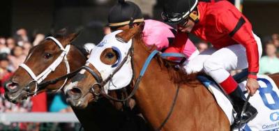 Room Service Scores First Stakes Win