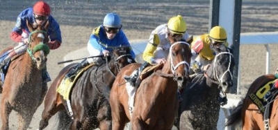 Salty Group of Fillies Line Up for Grade 3 Rachel Alexandra