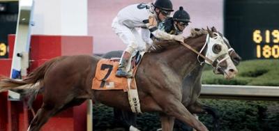 Seven Juvenile Fillies Set in the $200,000 Adirondack Stakes