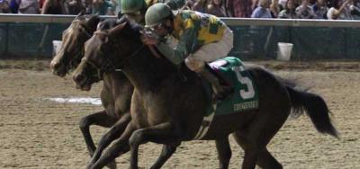 Storming Inti Looks For Third Stake Win