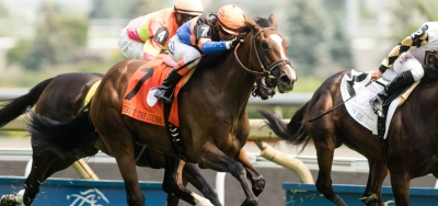 Strut the Course Headlines Field for $150,000 Ontario Matron Stakes