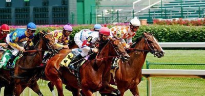 Sunshine Millions Preview Day Starts Early at Gulfstream West