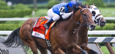 The Big Beast Looms Large in $400,000 Carter Handicap