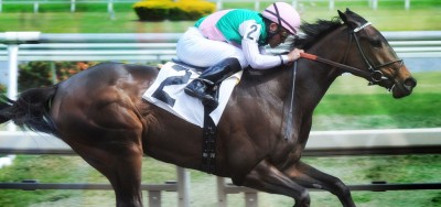 Top Fillies and Mares Set to Square Off in $2 Million Breeders' Cup Distaff