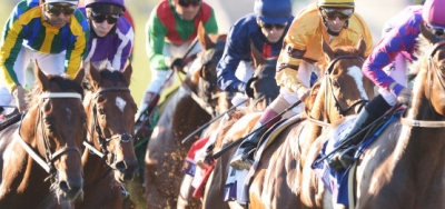 Undefeated Acceptance Takes On Seven In $250,000 California Cup Derby