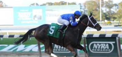 Wedding Toast, Curalina Square Off in Beldame