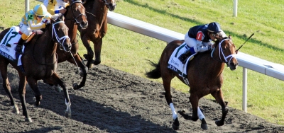 Wide Open Field of Eleven Set for $60,000 Prairie Bayou Stakes