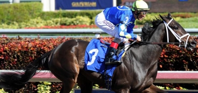 Wonder Gal Tops Wide Open Field for $300,000 Mother Goose